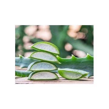 ICON Organic Aloe Vera Shampoo + Conditioner + Maske +  Ol 30 ml