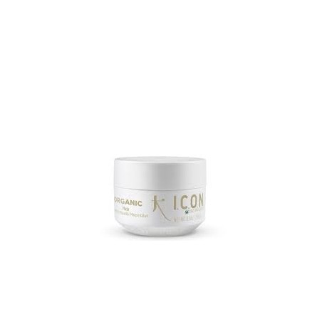 ICON Organic Aloe Vera Maschera 250gr