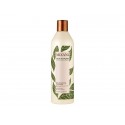 MIZANI True Textures Conditionneur Co-Wash Crème de soin lavant 500ml( cheveux cépus, frisés)