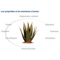 Huile d'Aloe Vera Bio 30ml