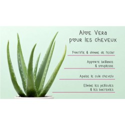 Huile d'Aloe Vera Bio 30ml